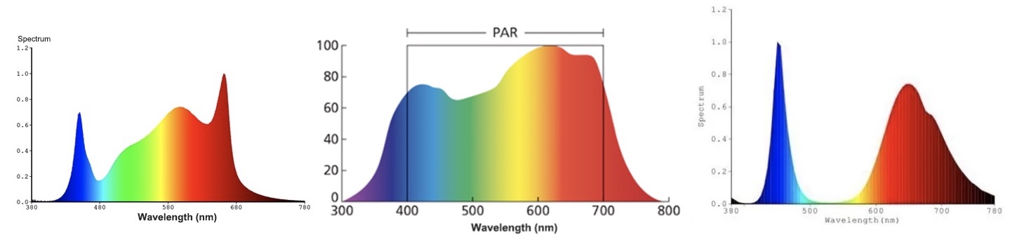 Gráfico de espectro de luz: espectro completo, amplio espectro y espectro dirigido, respectivamente. 