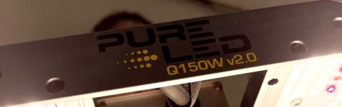 pure-led-q150w