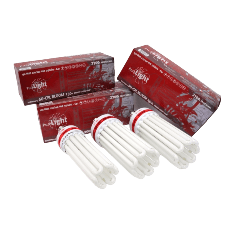 Tres bombillas Pure Light CFL Bloom colocadas en fila