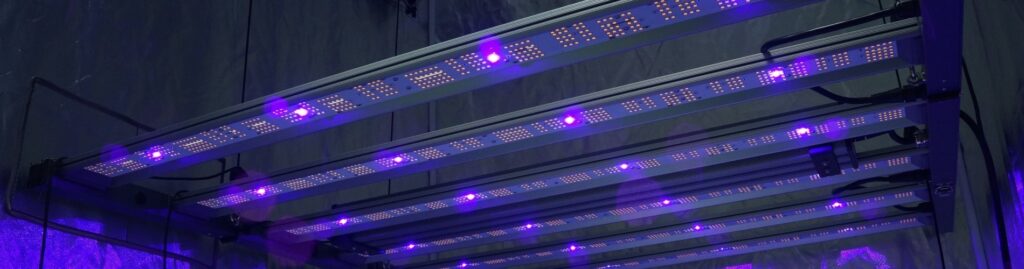 Ein Pure Led Experte mit Ihrem UV-Licht